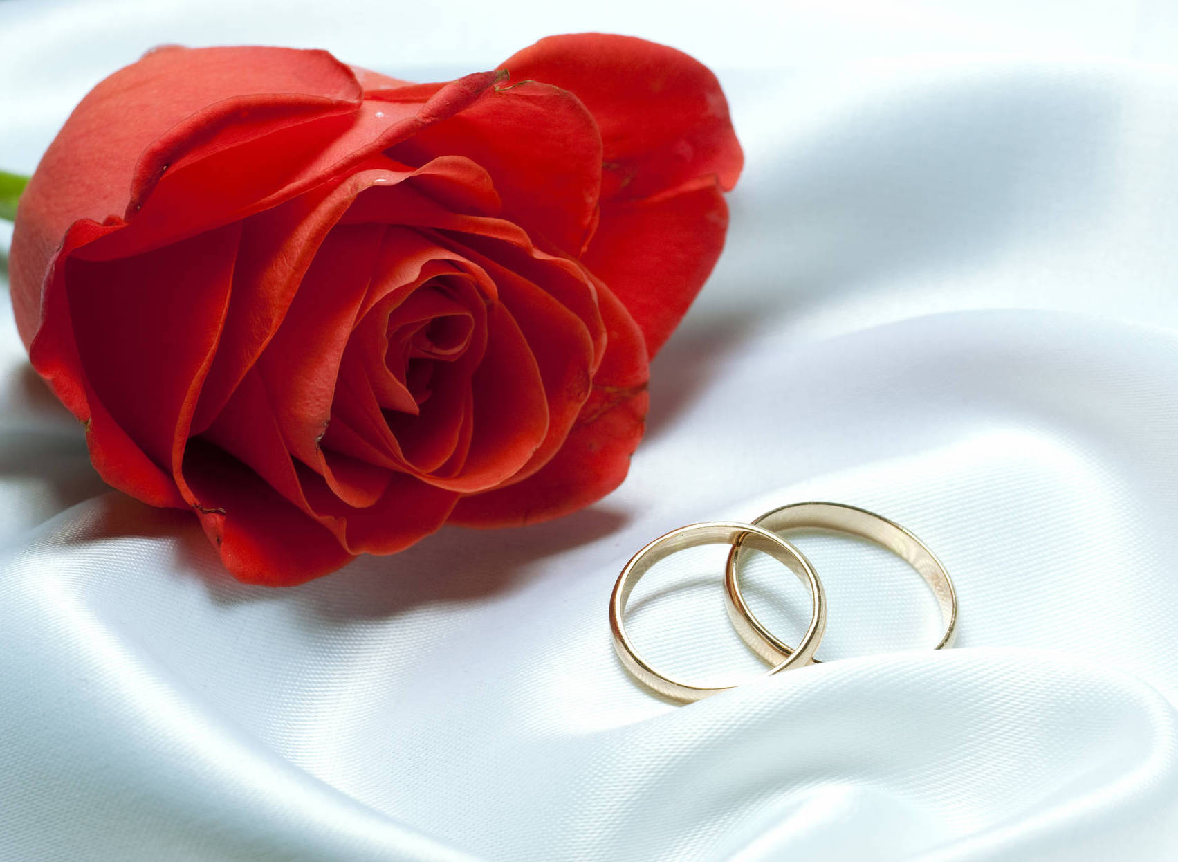 Die zwei Ringe als Zeichen der ewigen Träue. Feier mit XDREAM deinen schönsten Tag - die Hochzeit